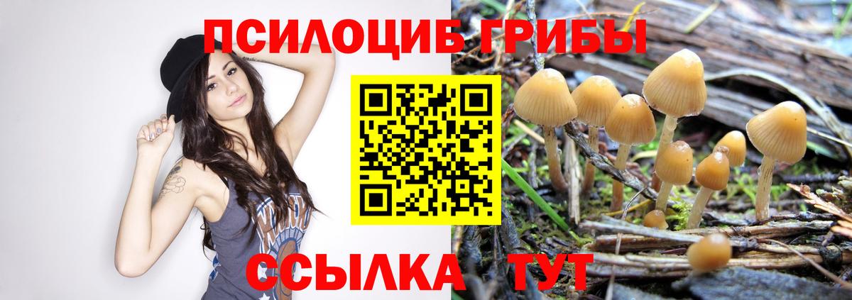 Галлюциногенные грибы Magic Shrooms Серов